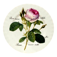 Tallerken med rose fra engelske Roy Kirkham