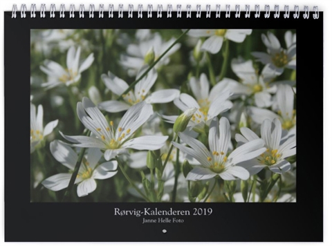Rørvig Kalenderen 2019