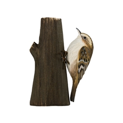 Decobird  - Træløber - Wildlife Garden